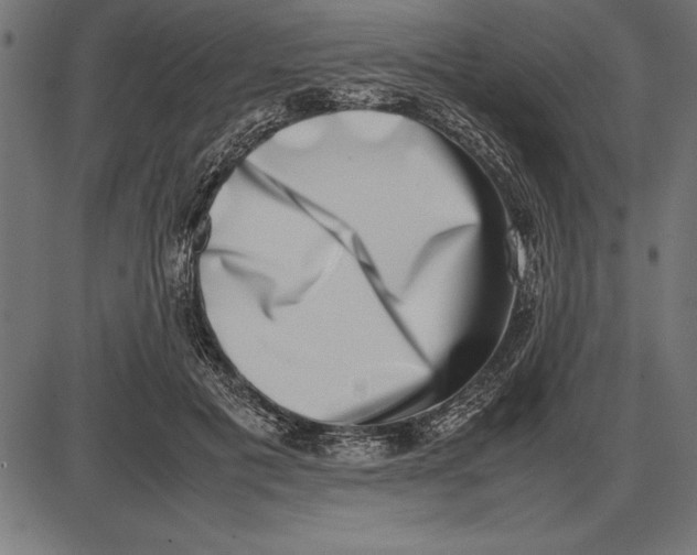 X0000086110601200704091420