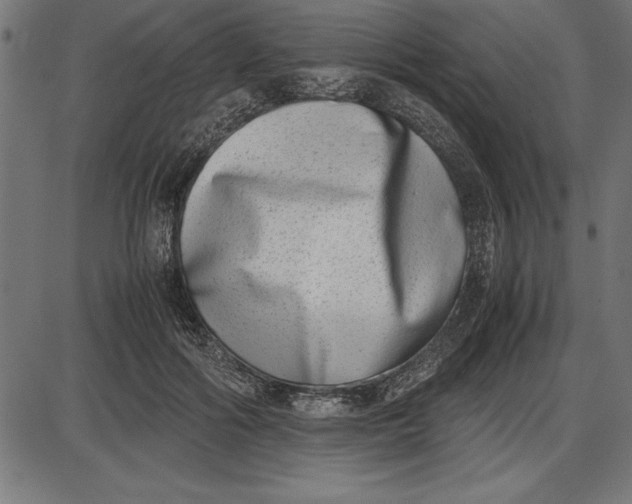 X0000086110602200704091420