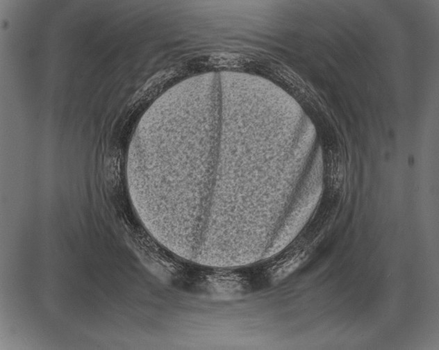 X0000086110603200704091420