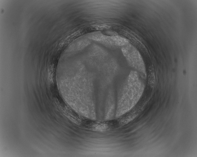 X0000086110604200704091420