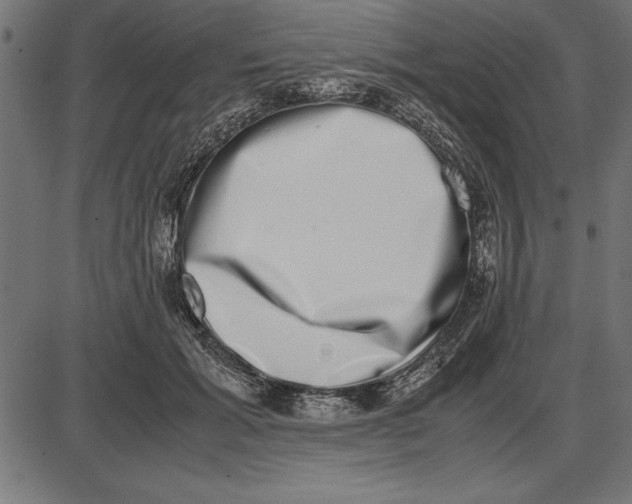 X0000086110605200704091420