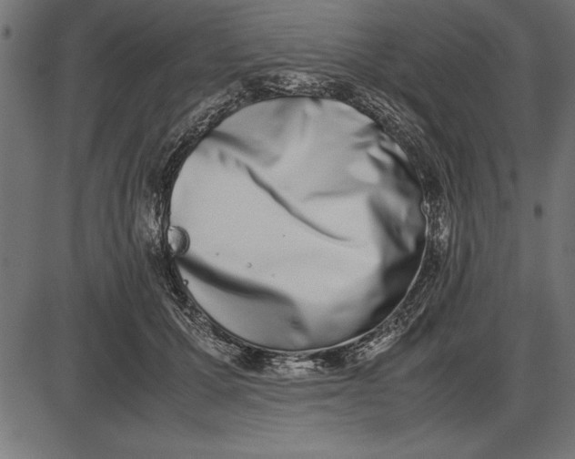 X0000086110607200704091420