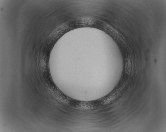 X0000086110608200704091420