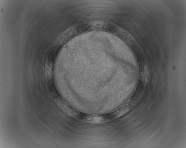 X0000086110610200704091420