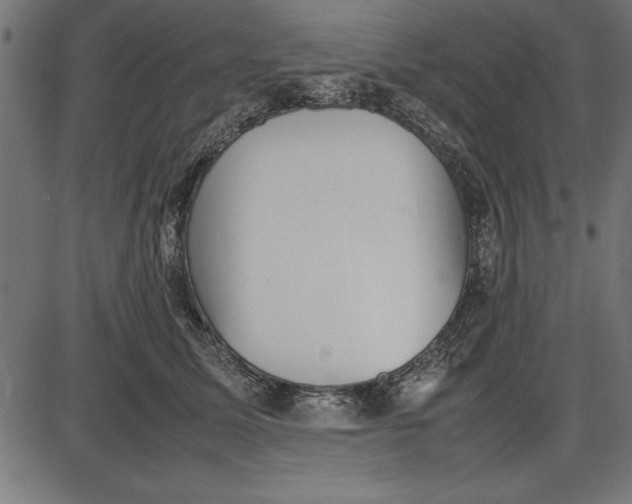 X0000086110611200704091420