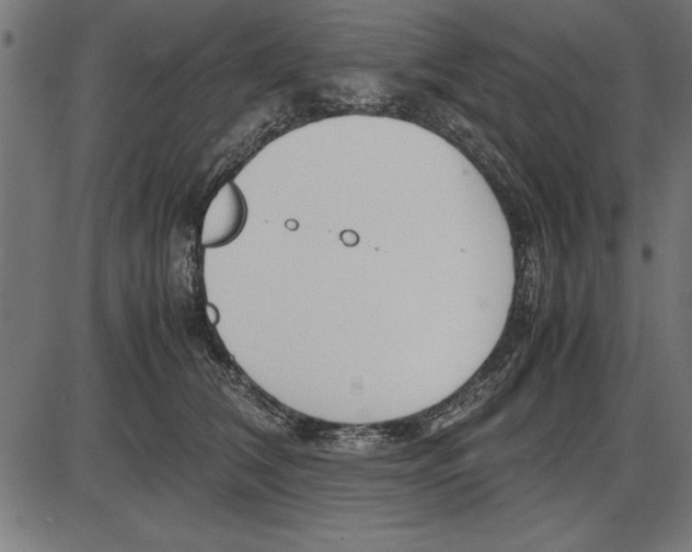 X0000086110612200704091420