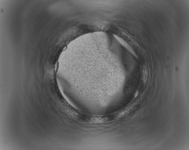 X0000086110613200704091420