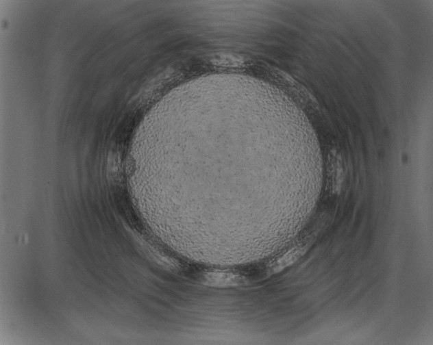 X0000086110614200704091420