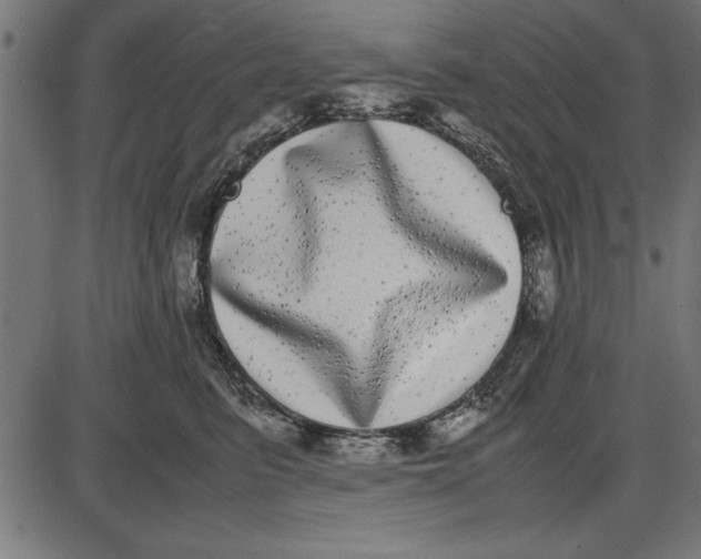 X0000086110615200704091420