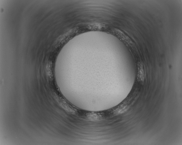 X0000086110616200704091420