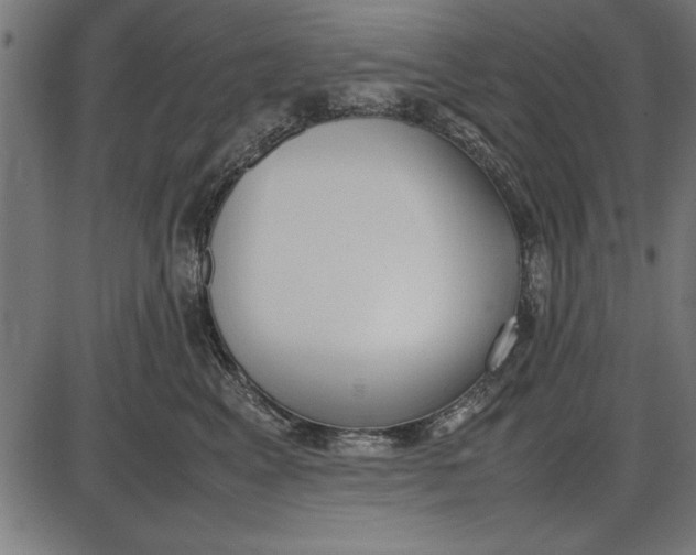 X0000086110617200704091420