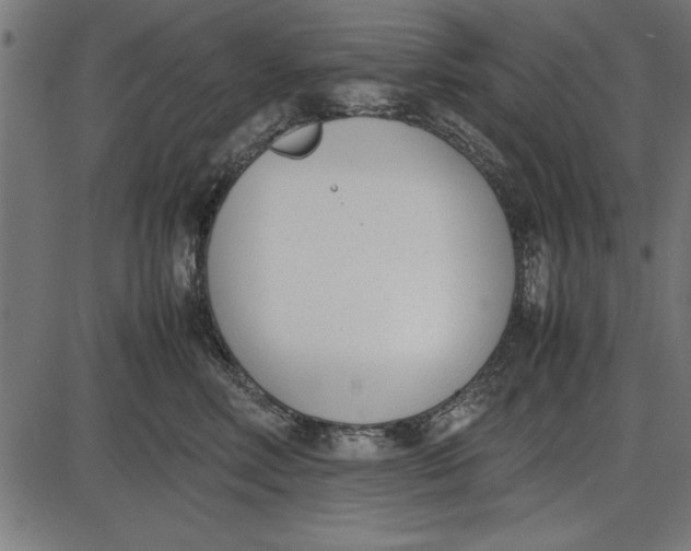 X0000086110618200704091420