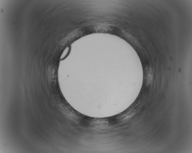 X0000086110619200704091420