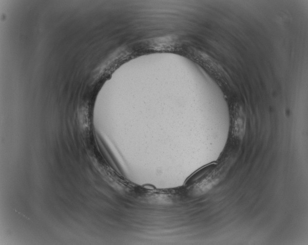 X0000086110620200704091420