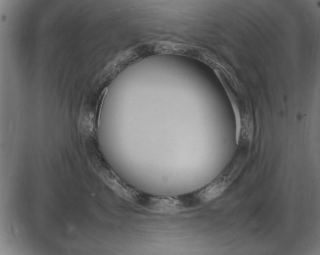 X0000086110621200704091420