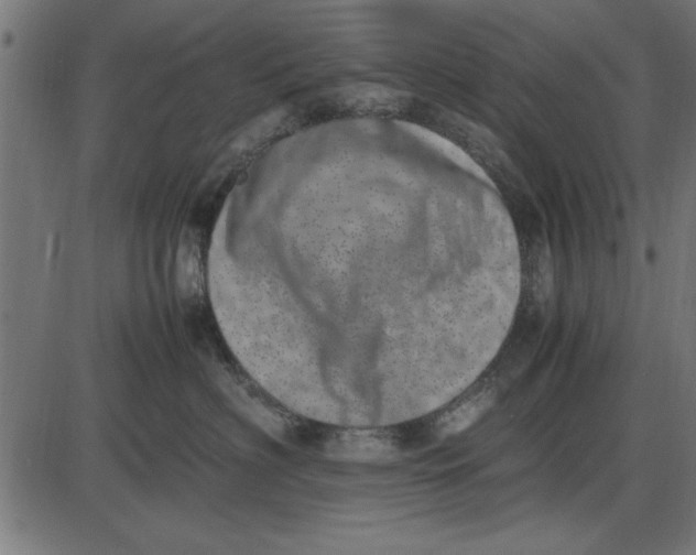 X0000086110622200704091420