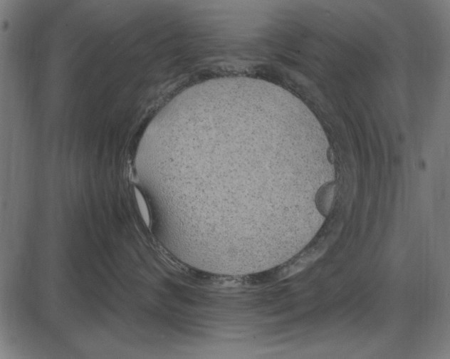 X0000086110624200704091420