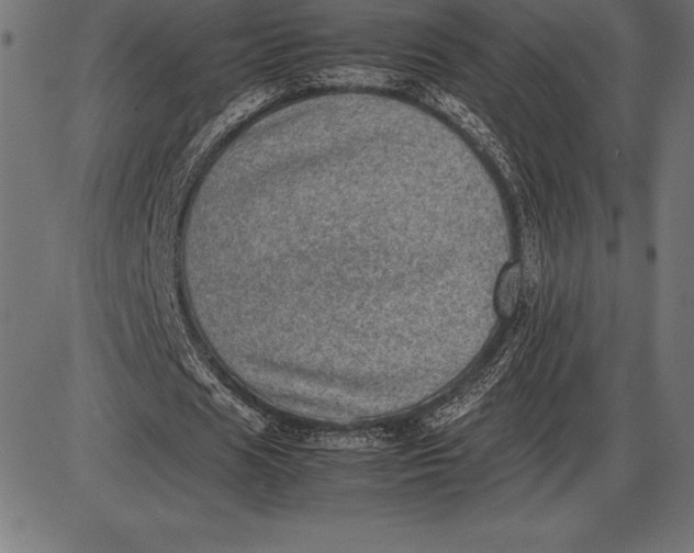 X0000086110625200704091419