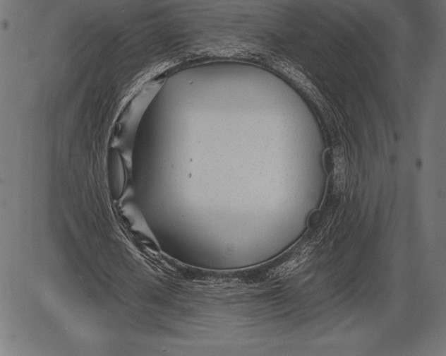 X0000086110626200704091419