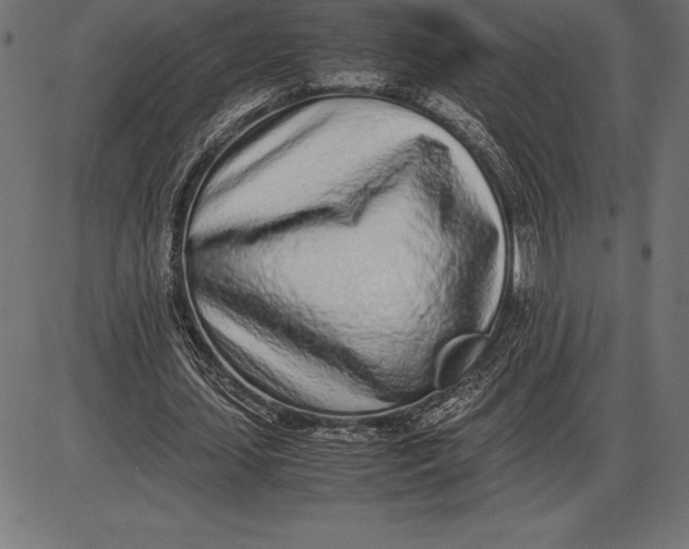 X0000086110627200704091419