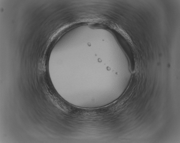 X0000086110628200704091419