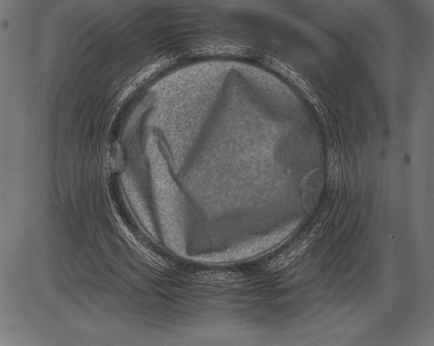 X0000086110629200704091419