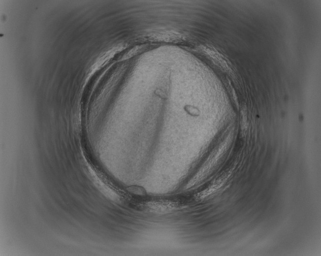 X0000086110630200704091419