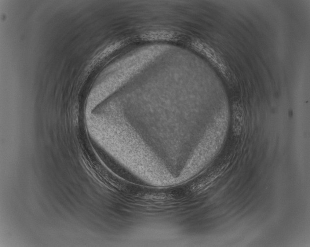 X0000086110631200704091419