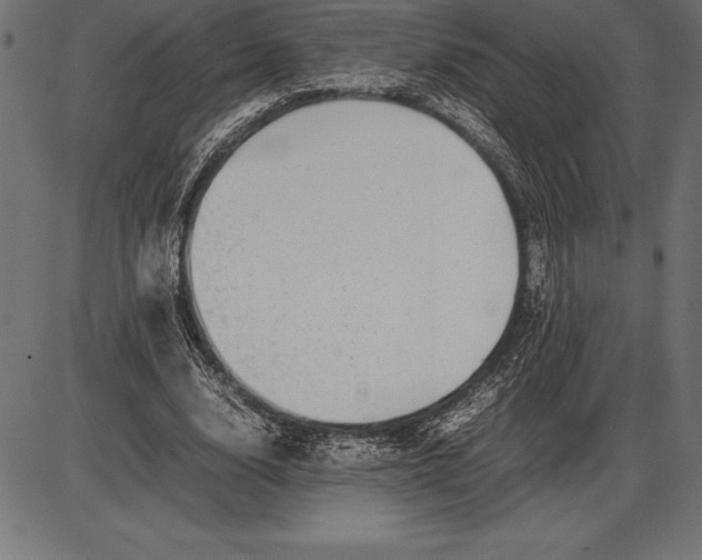 X0000086110632200704091419