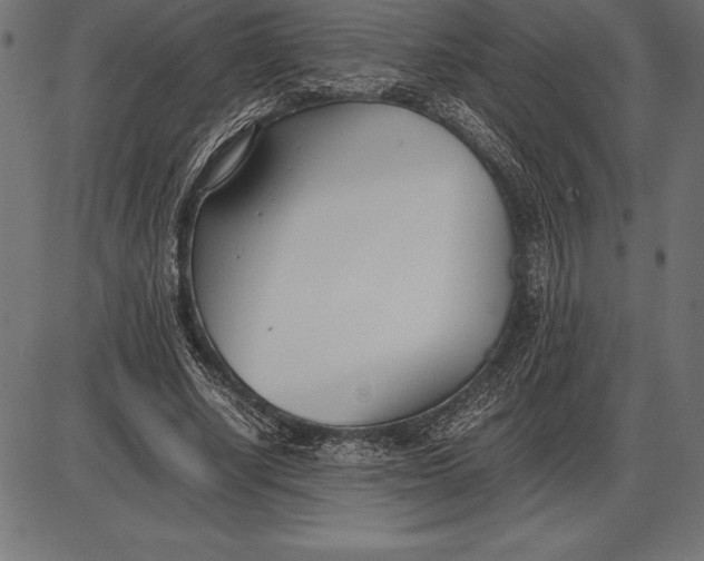 X0000086110634200704091419