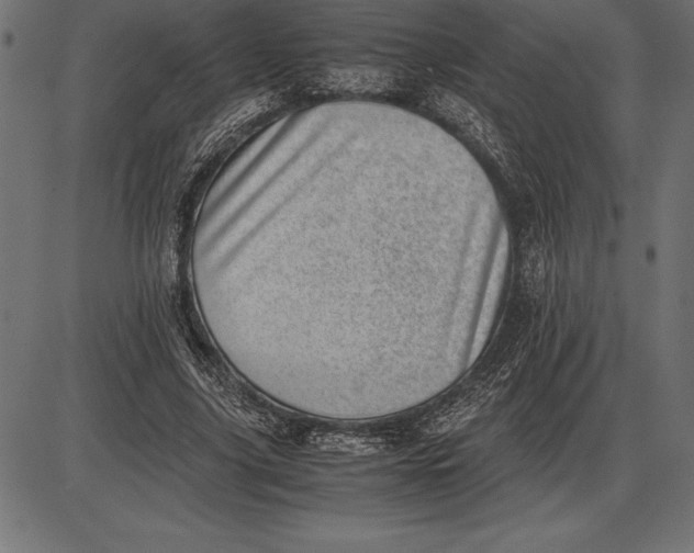 X0000086110635200704091419