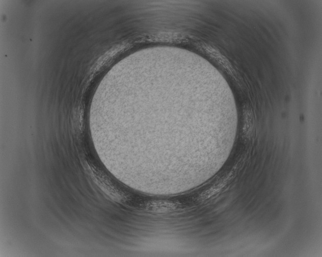 X0000086110636200704091419