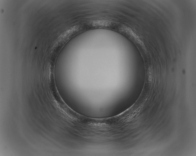 X0000086110637200704091419