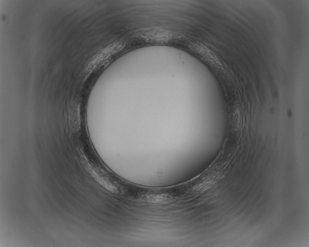 X0000086110638200704091419