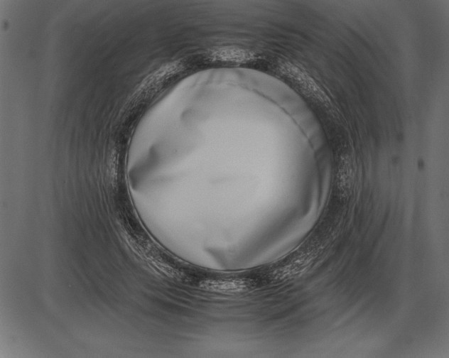 X0000086110639200704091419