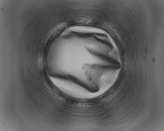 X0000086110641200704091419