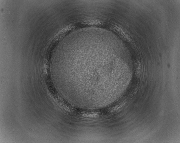 X0000086110643200704091419