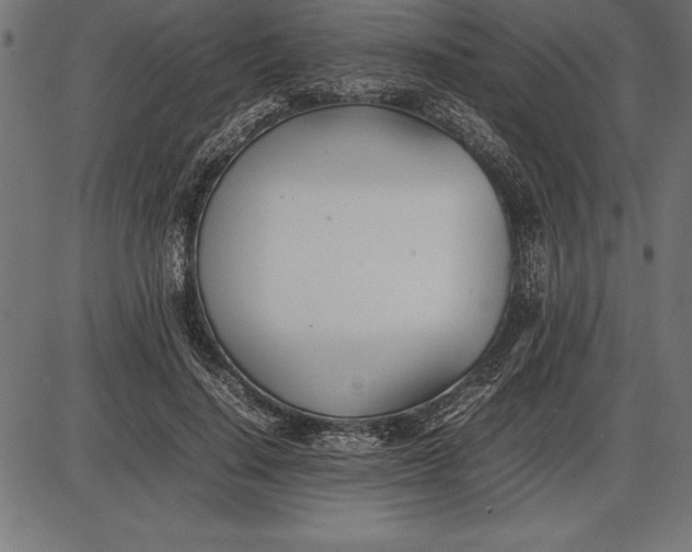 X0000086110644200704091419