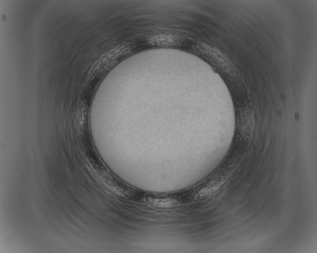 X0000086110645200704091419