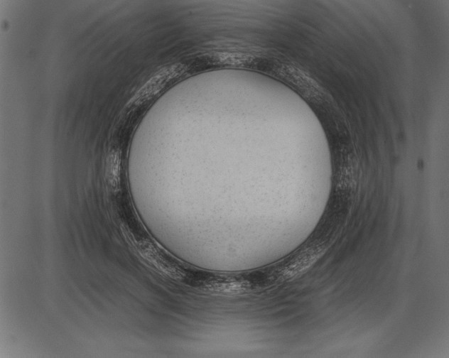 X0000086110646200704091419