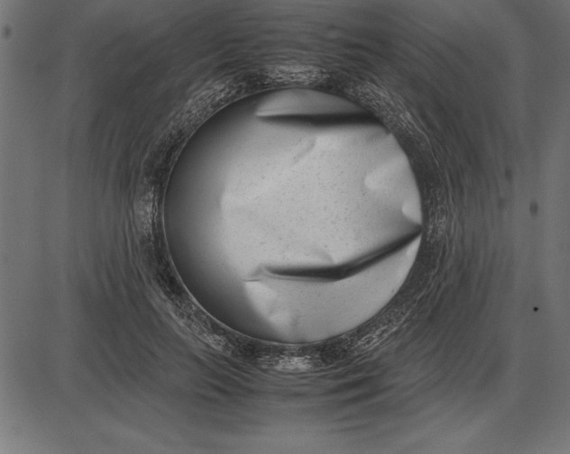 X0000086110647200704091419