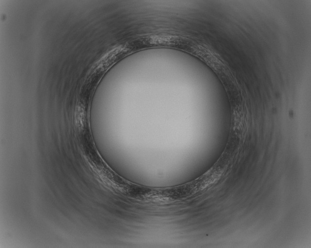 X0000086110648200704091419