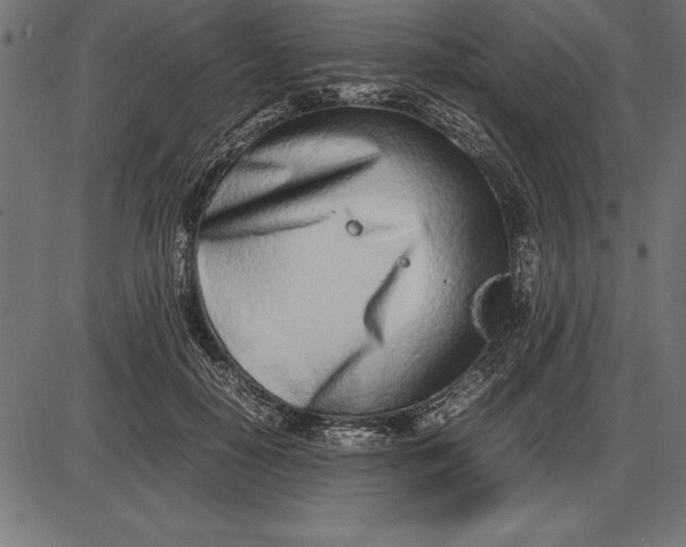 X0000086110650200704091419