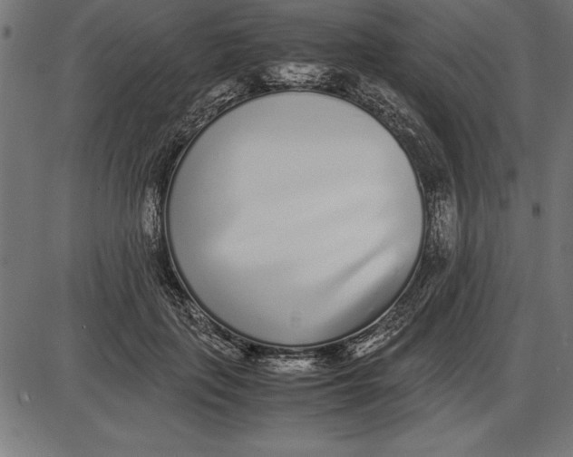 X0000086110651200704091419