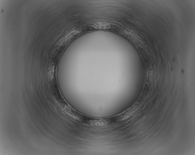 X0000086110652200704091419