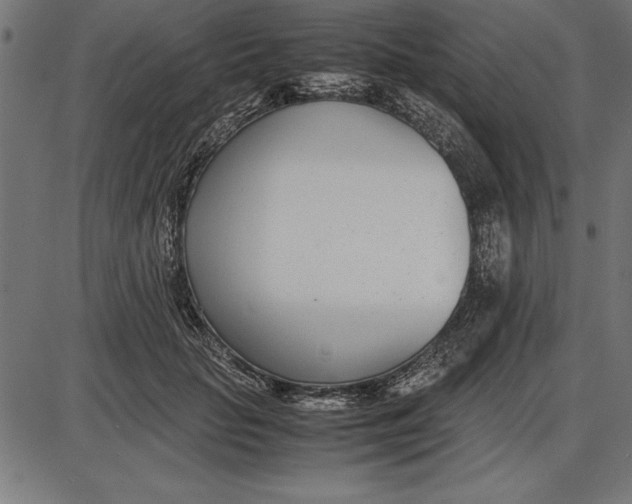 X0000086110653200704091419