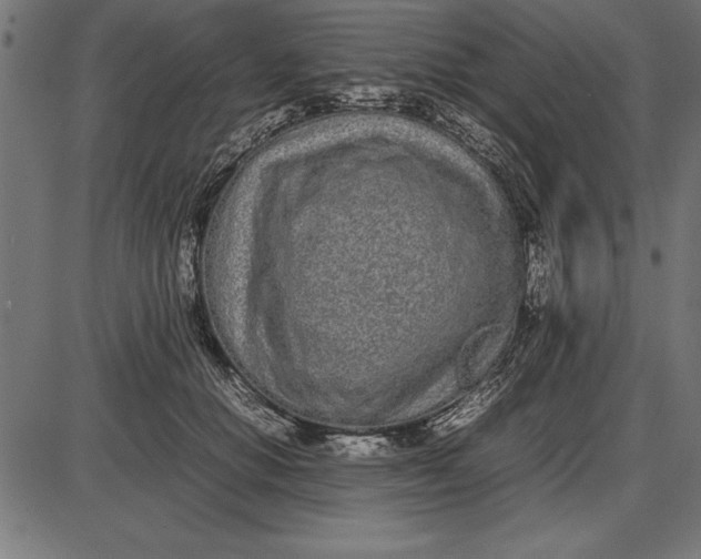 X0000086110654200704091419