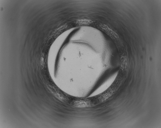 X0000086110655200704091419