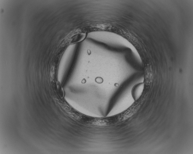 X0000086110656200704091419