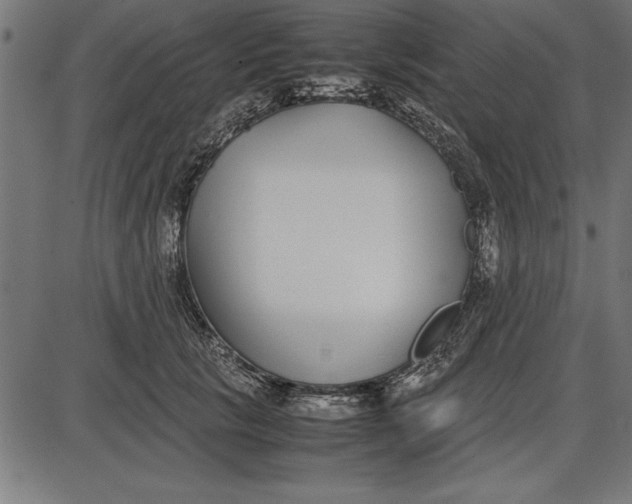 X0000086110657200704091419